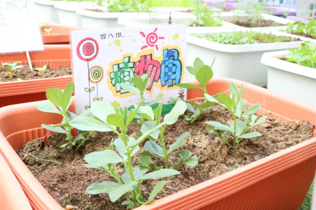 郑州郑上路小学,郑州市中原区郑上路小学