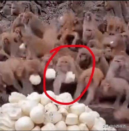 疫情爆发前后，这些景点的对比照片真是太明显了