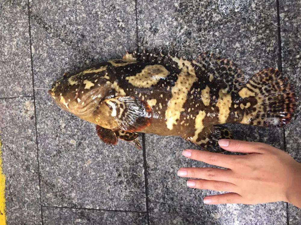 不出广州附近两天游玩景点推荐,广州出发最美海岛