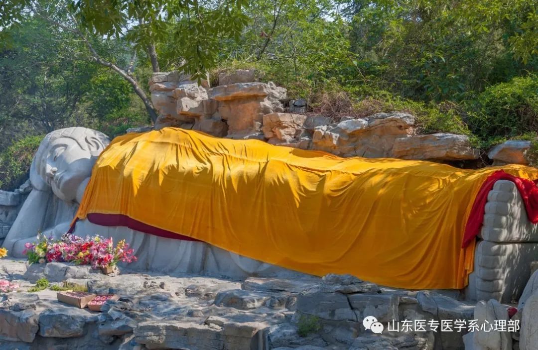 济南的冬天这才是冬天该有的样子,济南的冬天是散文吗