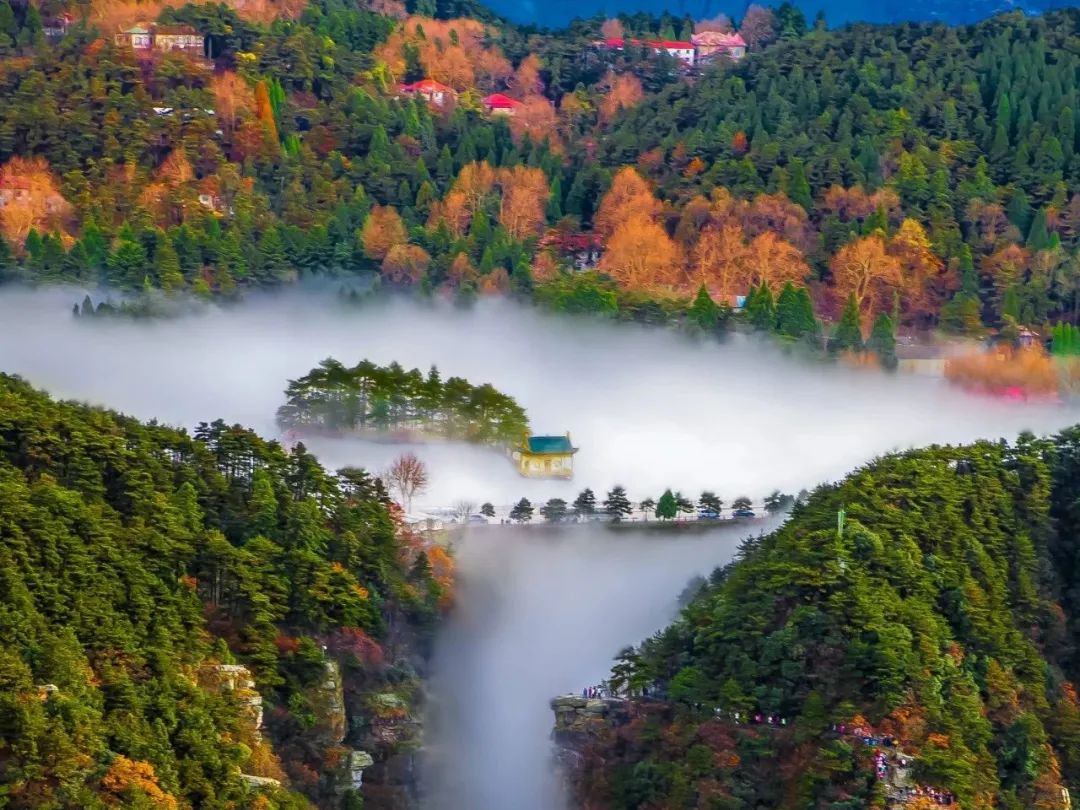 庐山旅游策划,庐山风景区政府招投标公告