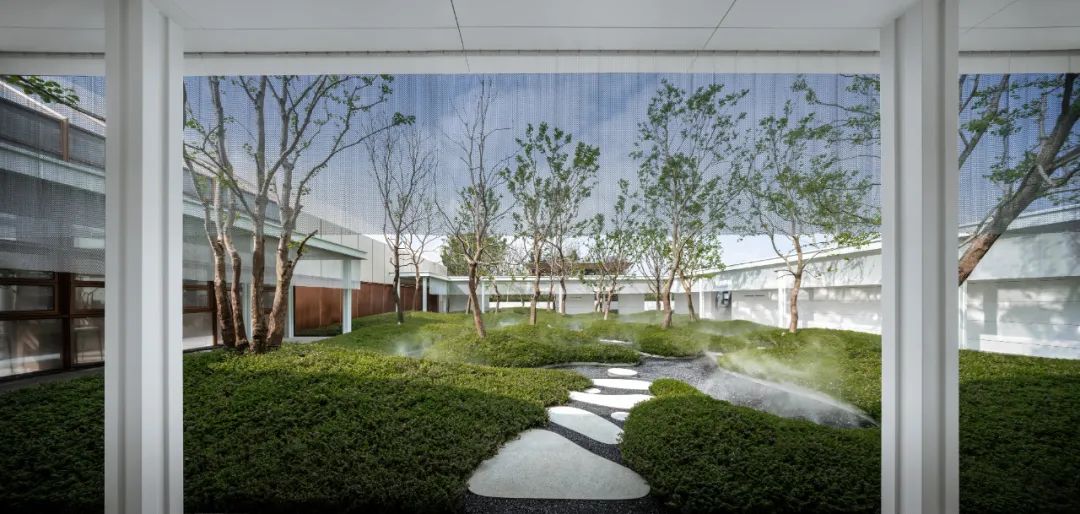 lsd艺术风格,lsd完整形式