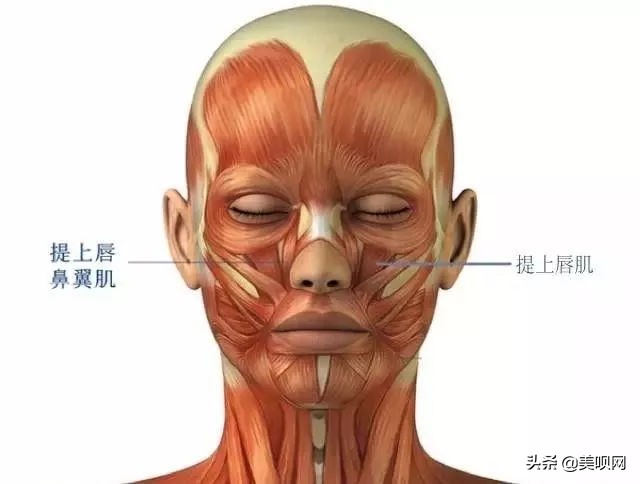明星都在用的缩小鼻翼神器,明星鼻子做鼻翼缩小外切