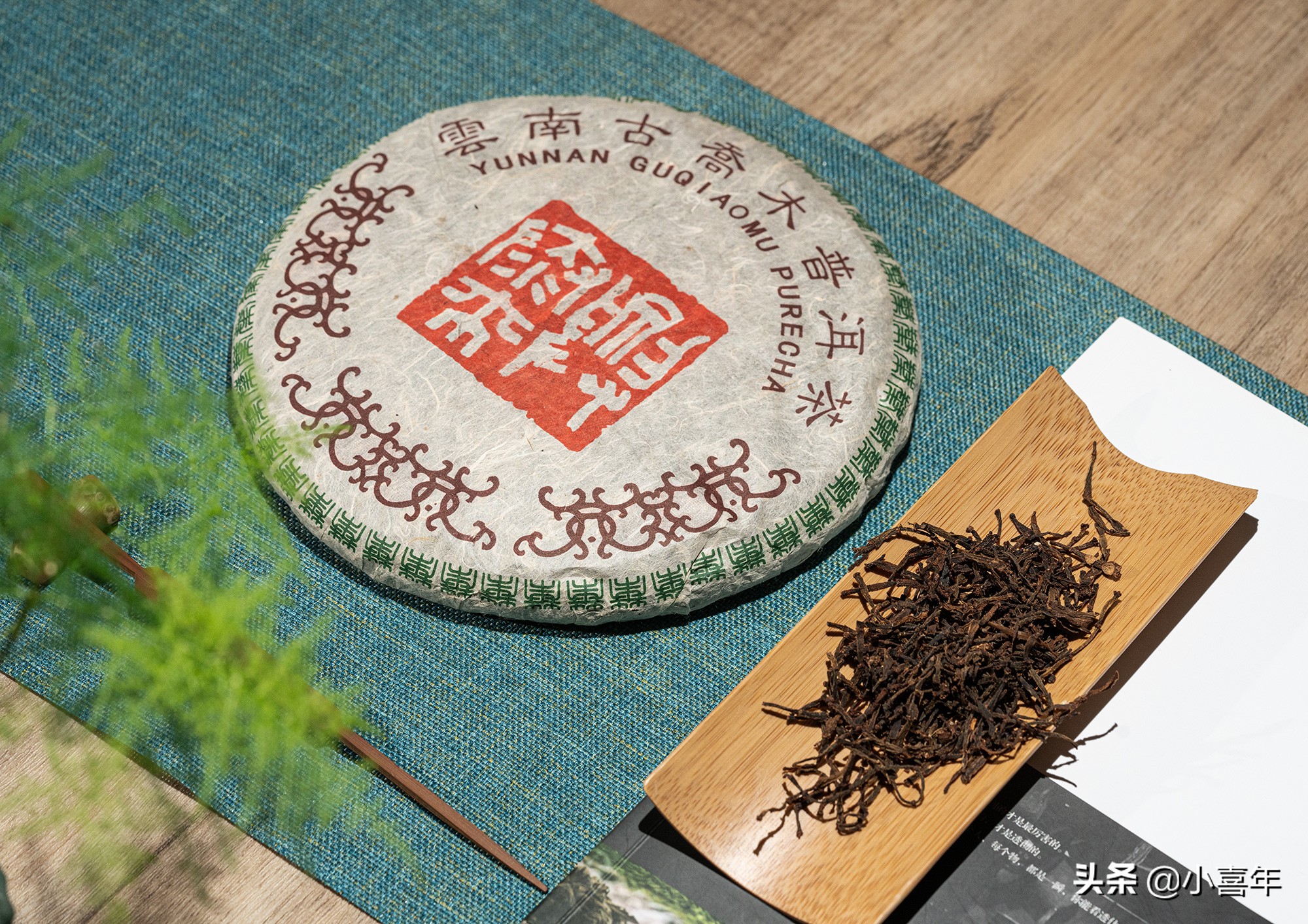 什么样的普洱茶才是正宗的茶,一般普洱茶是什么样的茶