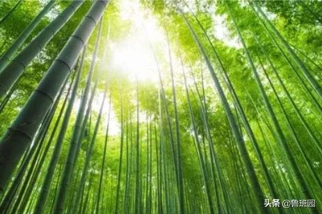 竹炭板是什么材料做的,装修用竹炭板材