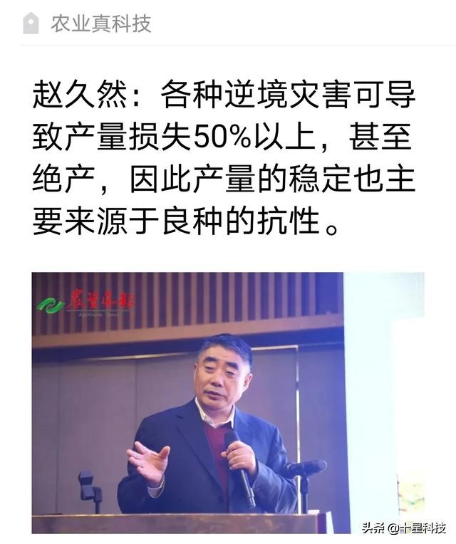 赠送种子助农增收活动,免费送稻种带动350户春耕