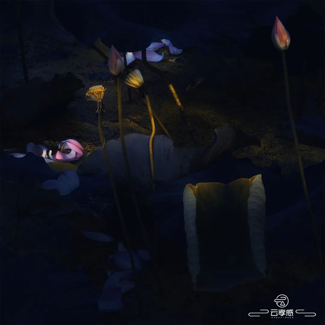 李鸿飞摄影作品初春,李鸿飞画家