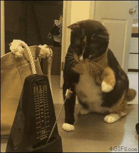 小白0基础学吉他教程,看完此文你就是吉他的王者