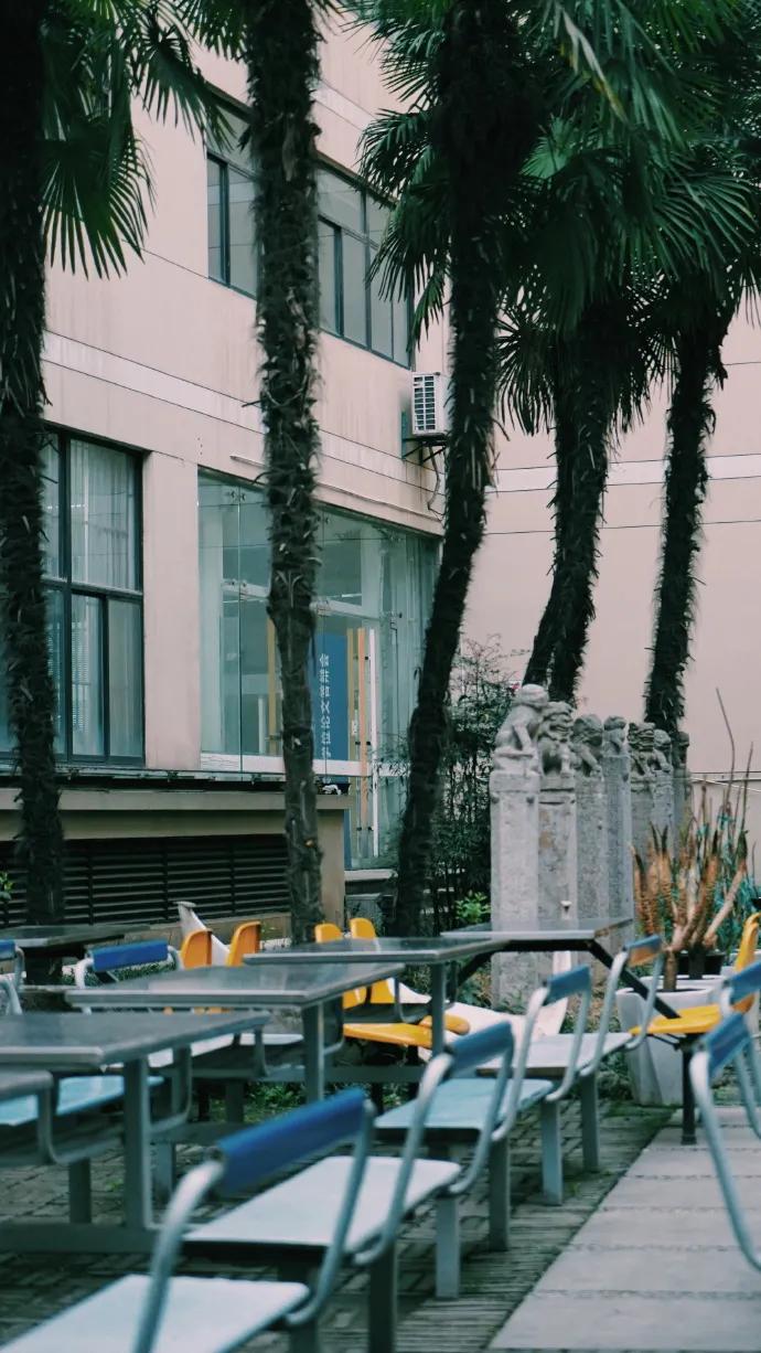 九大美院校园风景,中国九大美院校园风采