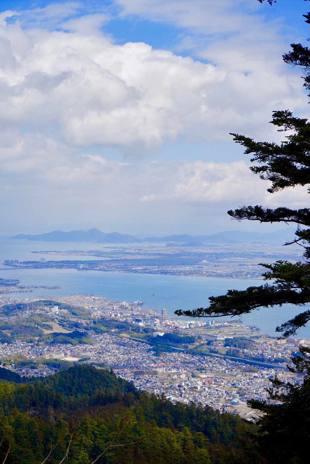 2019日本赏樱最新攻略|大津小众路线私家推荐