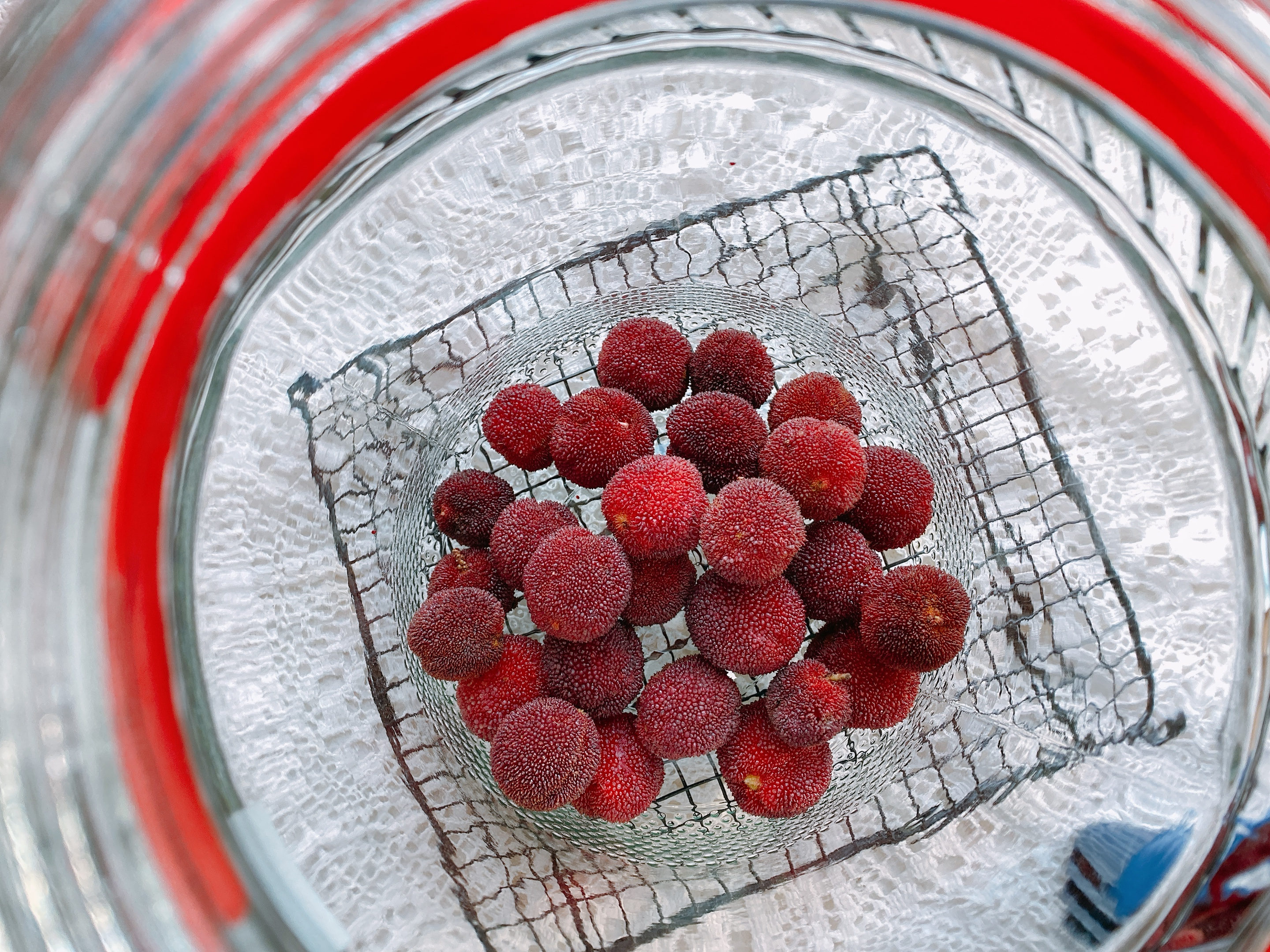 泡杨梅酒的教程十斤酒放多少杨梅,老品种杨梅泡制方法