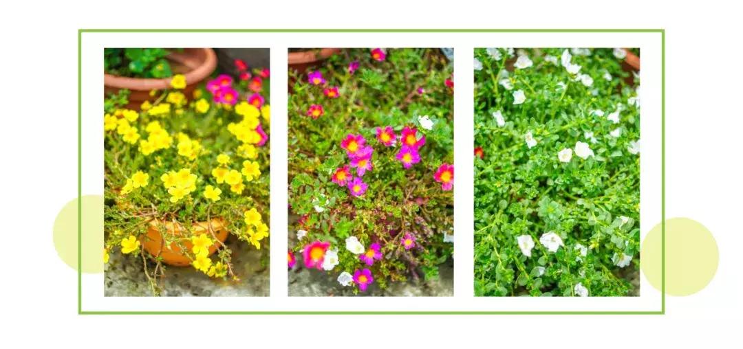 深圳「废弃染布厂」变废为宝，化身“湖畔花园”美若世外桃源！