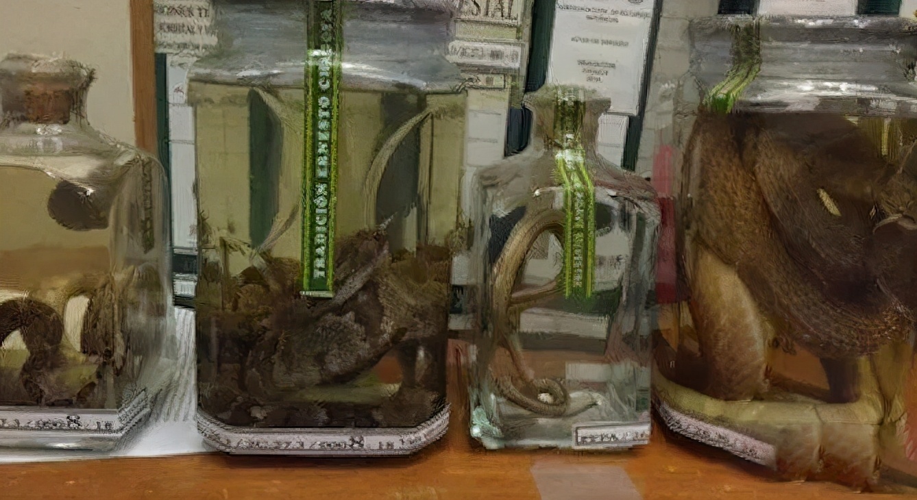 榫欒垖鍏伴┈鏂厠,椹柉鍏嬮緳鑸屽叞