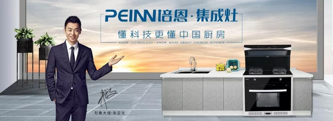 十大名牌集成灶都是什么品牌的,集成灶挑选技巧十大品牌