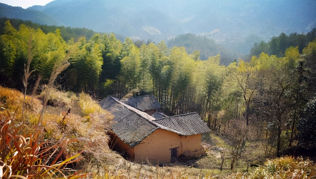 新聊斋之壁虎仙妻