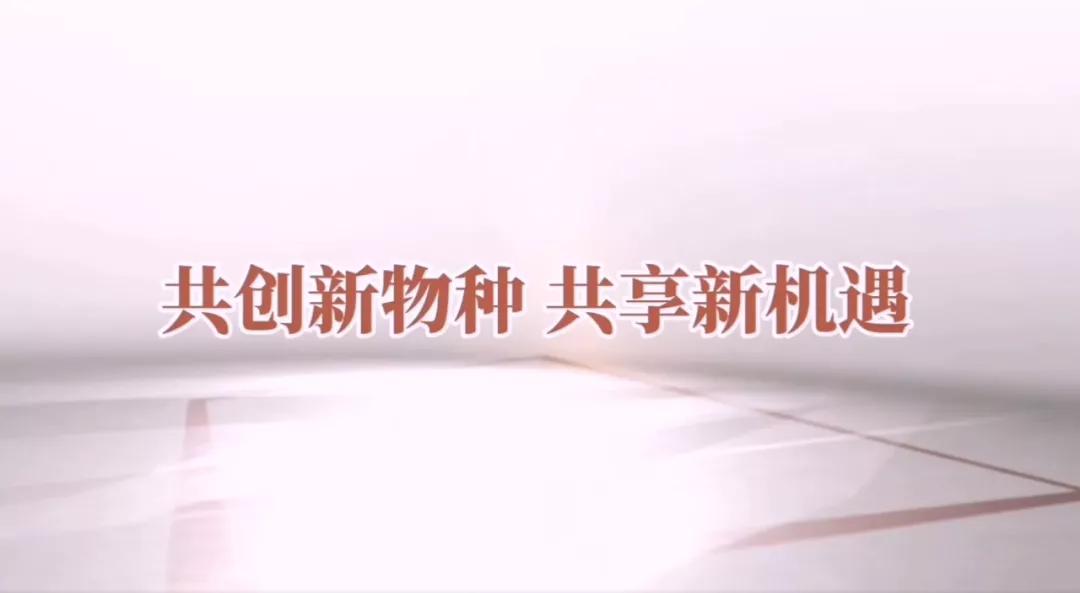 「设计视窗」行业系列篇:广东四川商会家具分会秘书长高洪斌