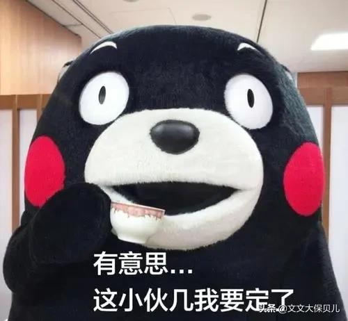 理财型保险真的好吗,保险公司理财型的保险有风险吗