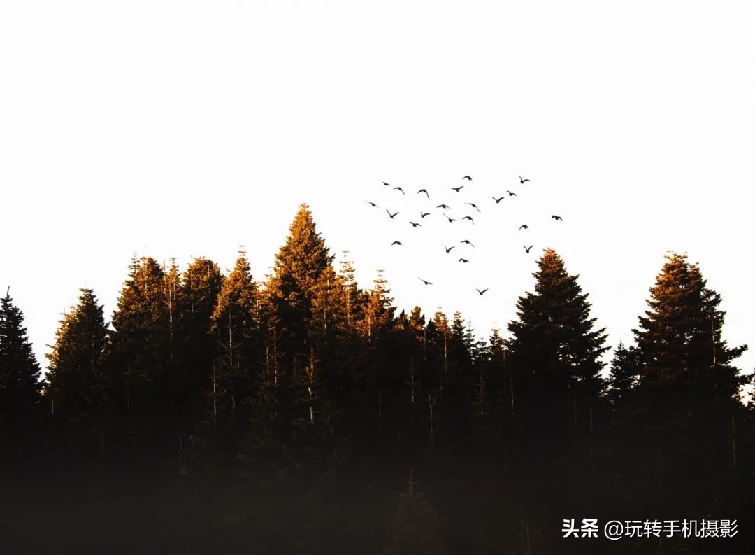 snapseed如何修出照片质感,如何用snapseed修出丁达尔光