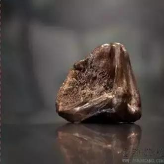 这种烂木头1克价值5万,越南农民种它年赚几十亿越盾