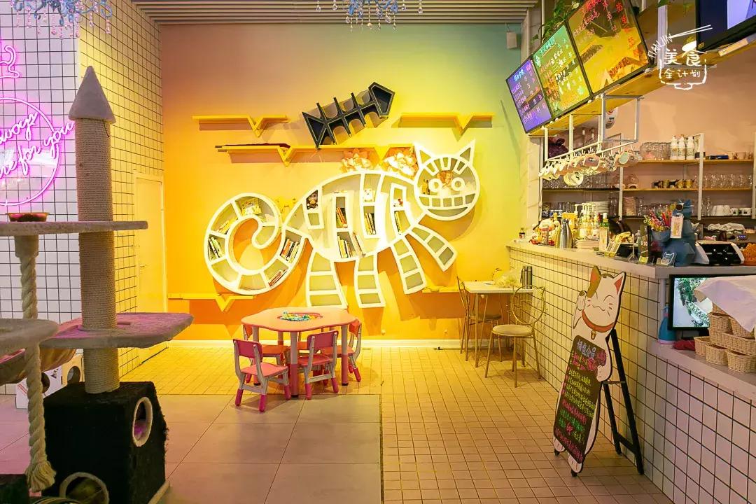 吃饭玩耍一体店,吃饭撸猫二选一