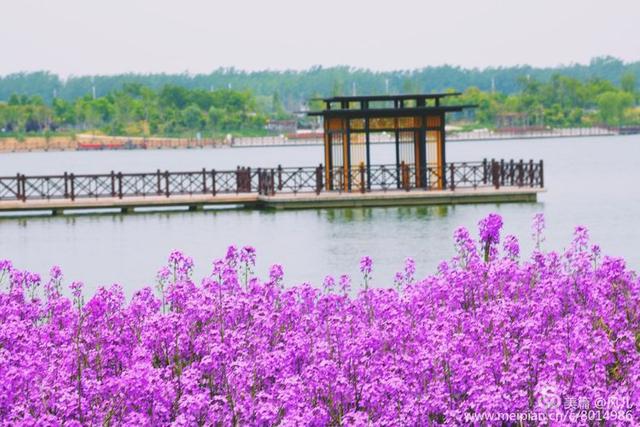 大美新蔡生态水城,大美新蔡等你来