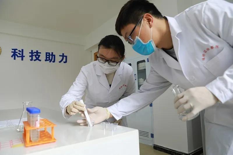 【基层动态】埇桥|公益诉讼：快速检测实验室上线“发威”！