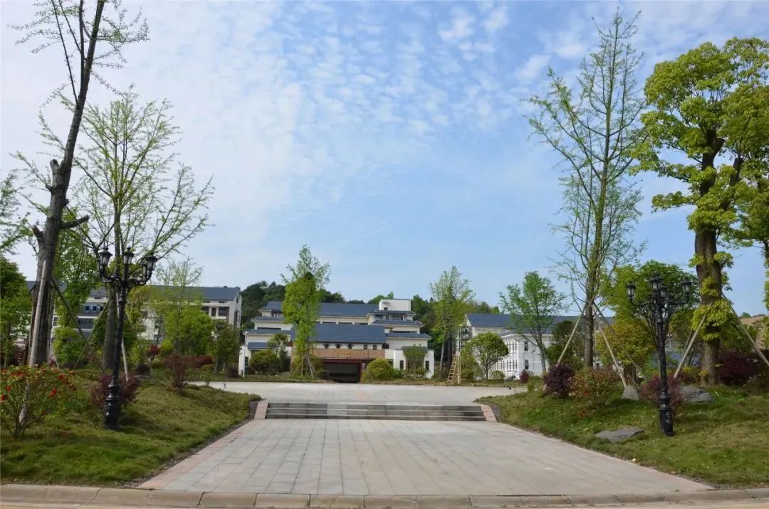 长沙望城区最好学区,长沙县将再添一所优质中学