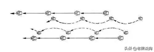 蓝法斗长大后毛色变化,国际认可纯种法斗毛色