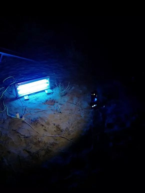 娴峰矝鏈ㄧ瓘婕傛祦,娴峰矝閽撻奔鎺㈤櫓