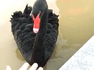 深圳这所大学宛如空中之城！