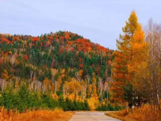 黑龙江旅游小众胜地,黑龙江值得旅游的10个地方