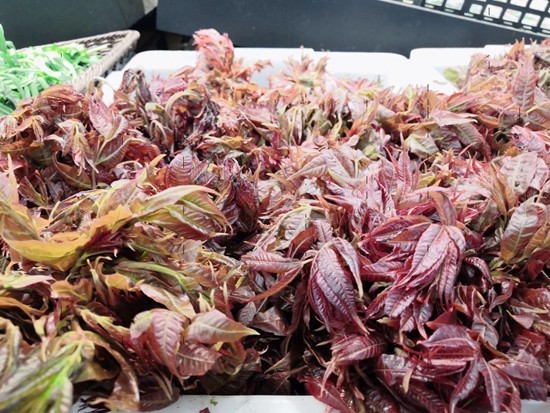 值哭了！用惠民券逛了利群最值得买的商品清单都在这