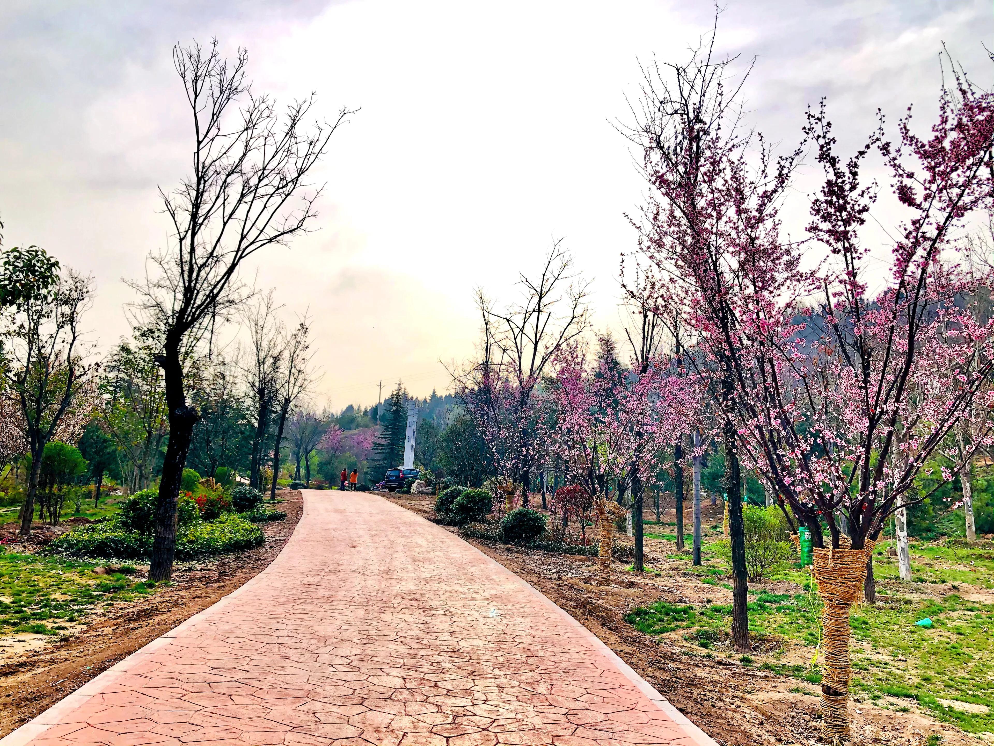 金塘半日游,白鹿原一日游攻略