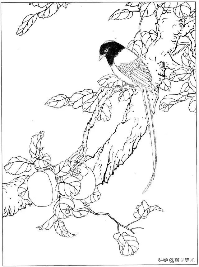 现代国画工笔花鸟白描及完整版,路雨年工笔白描花鸟团扇高清图片