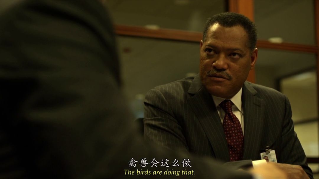 从地理视角看传染病电影,传染病科普视频动画