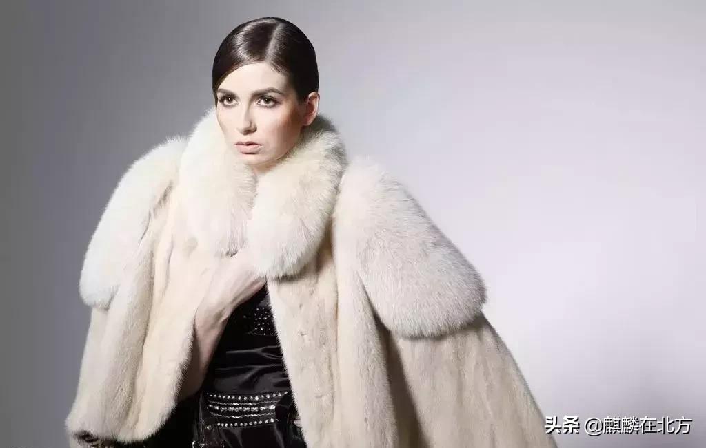 内蒙哪个城市有皮草,皮草之都内蒙