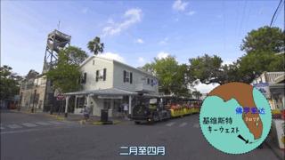 吸猫最高境界图片,吸猫最高境界完整视频