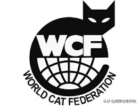 猫怎么注册血统,猫咪基础知识