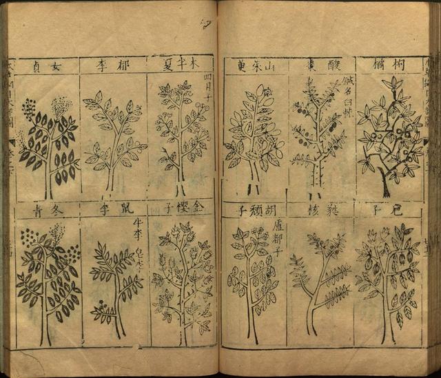 李时珍本草纲目书目录,李时珍本草纲目下卷