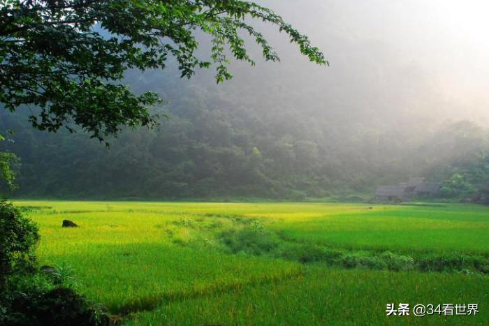 去荔波小七孔后去哪里吃东西,荔波小七孔景区游玩吃什么