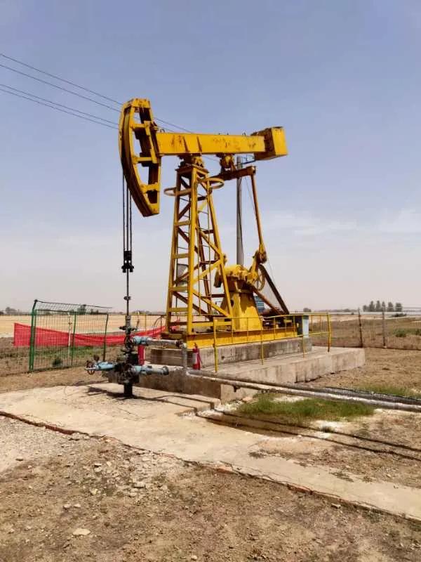 盛大金禧盘主席与宿州市政府相关领导会晤洽谈煤层气项目