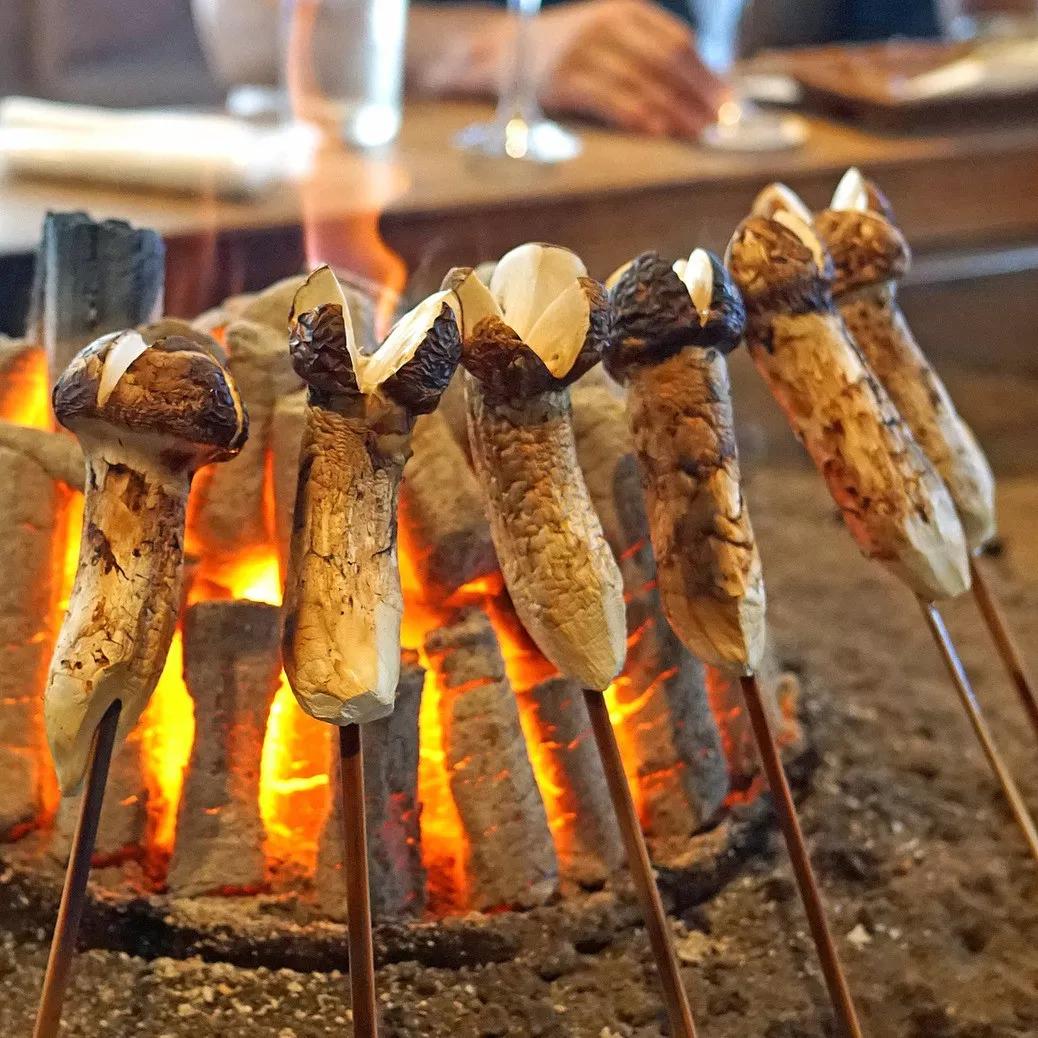 松茸菌干货的吃法,新鲜松茸菌怎么做好吃一点