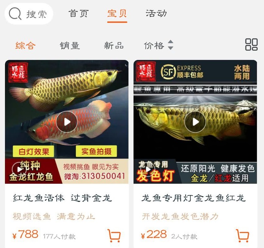 龙鱼一条卖多少元,90后小伙卖鱼365一斤