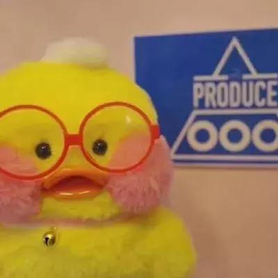 36张网红玻尿酸鸭头像图：遇见就好了，余生就算了