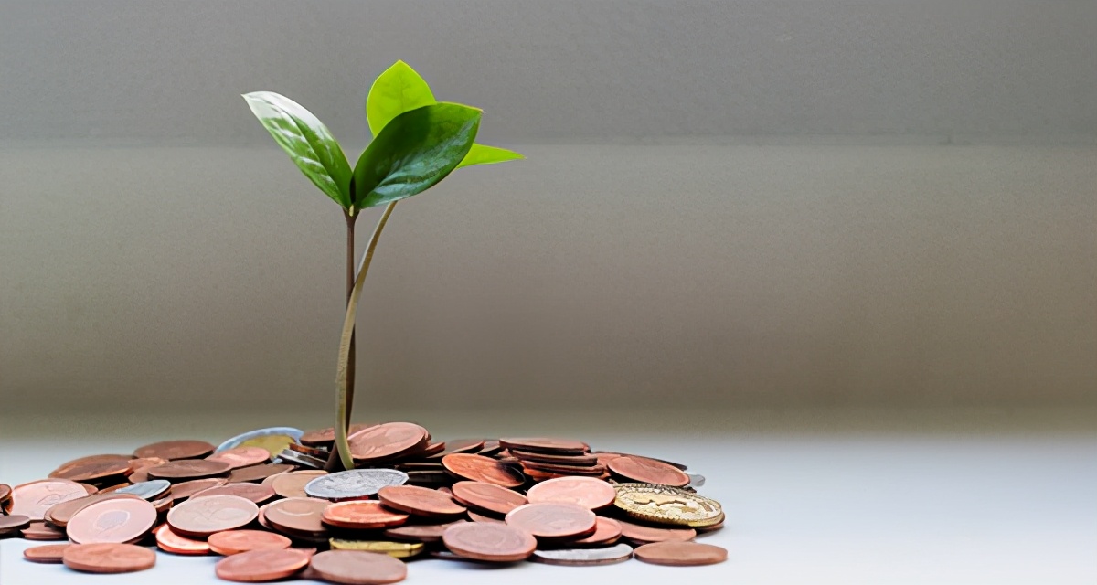 活久见理财,活久见定投计划2004