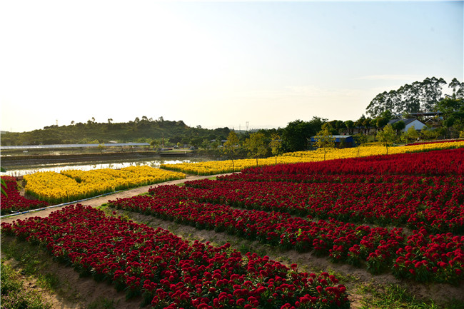 花都美林湖景区,广州花都美林湖攻略