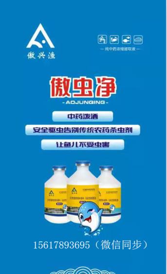 草鱼苗烂身怎么回事,池塘养殖草鱼烂身病如何治疗