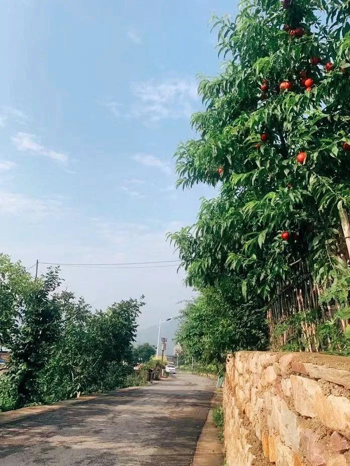 蓟州农家院哪家最好最好玩,蓟州农家院包院人均100元