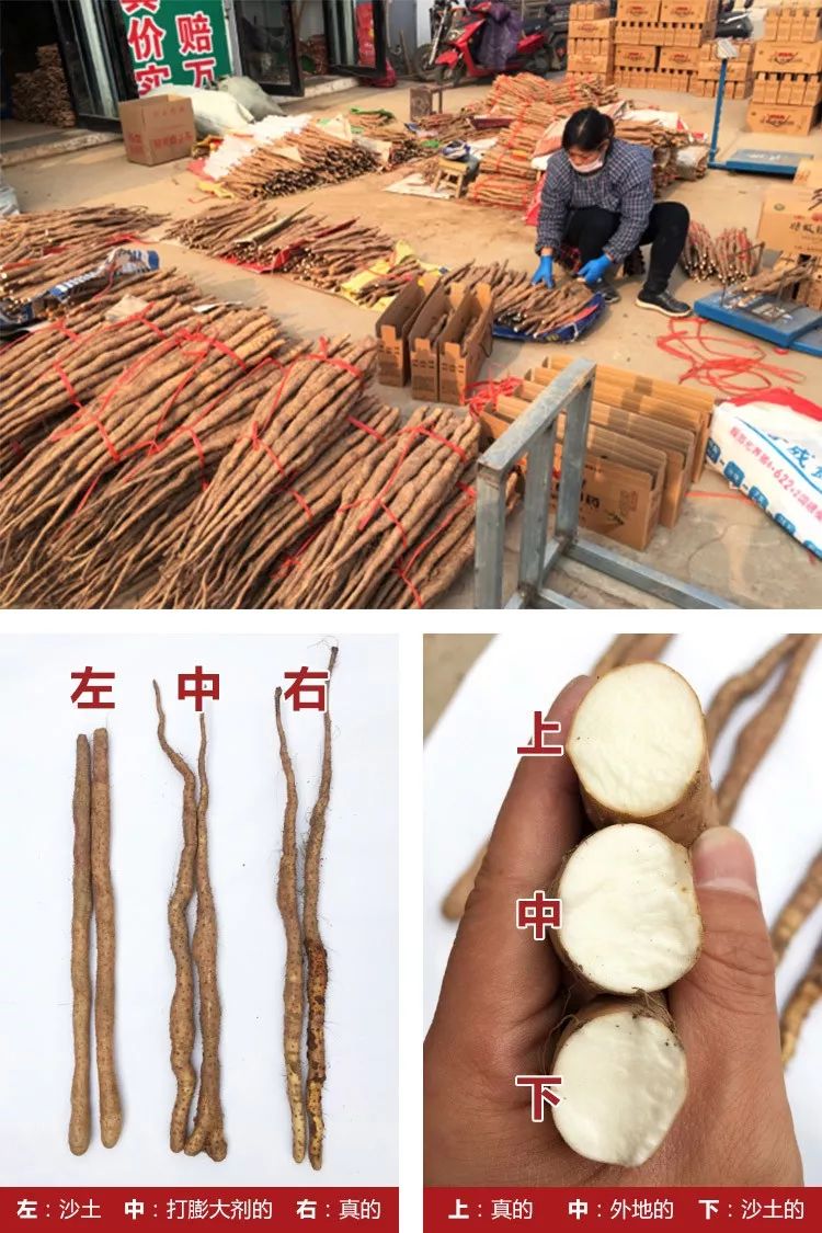 你总胃不舒服?肚子大?这条【养胃秘诀】快跟我试试