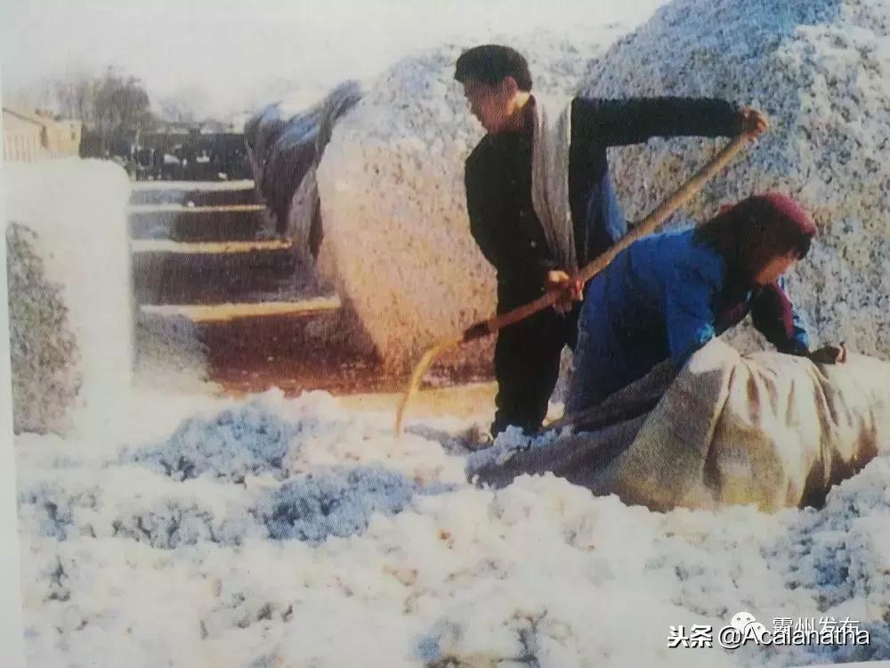 霸州土产公司老照片,霸州老城区图片